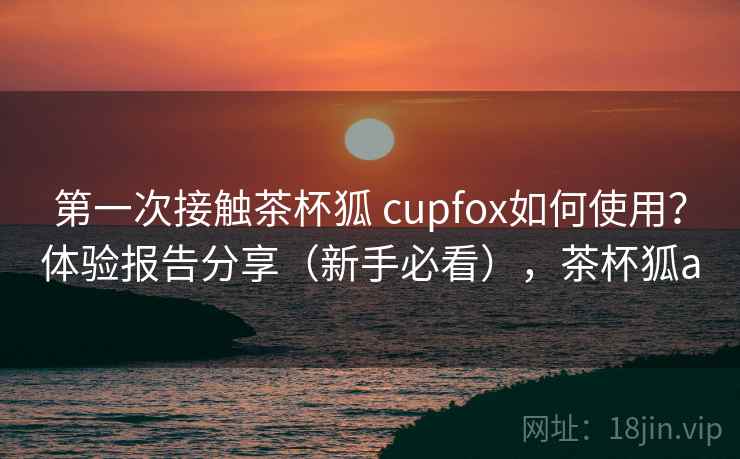 第一次接触茶杯狐 cupfox如何使用？体验报告分享（新手必看），茶杯狐a