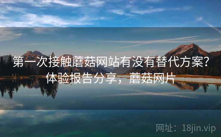 第一次接触蘑菇网站有没有替代方案？体验报告分享，蘑菇网片