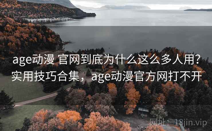 age动漫 官网到底为什么这么多人用？实用技巧合集，age动漫官方网打不开